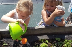 Budding Green Thumbs: Gardening at the Y Nursery School