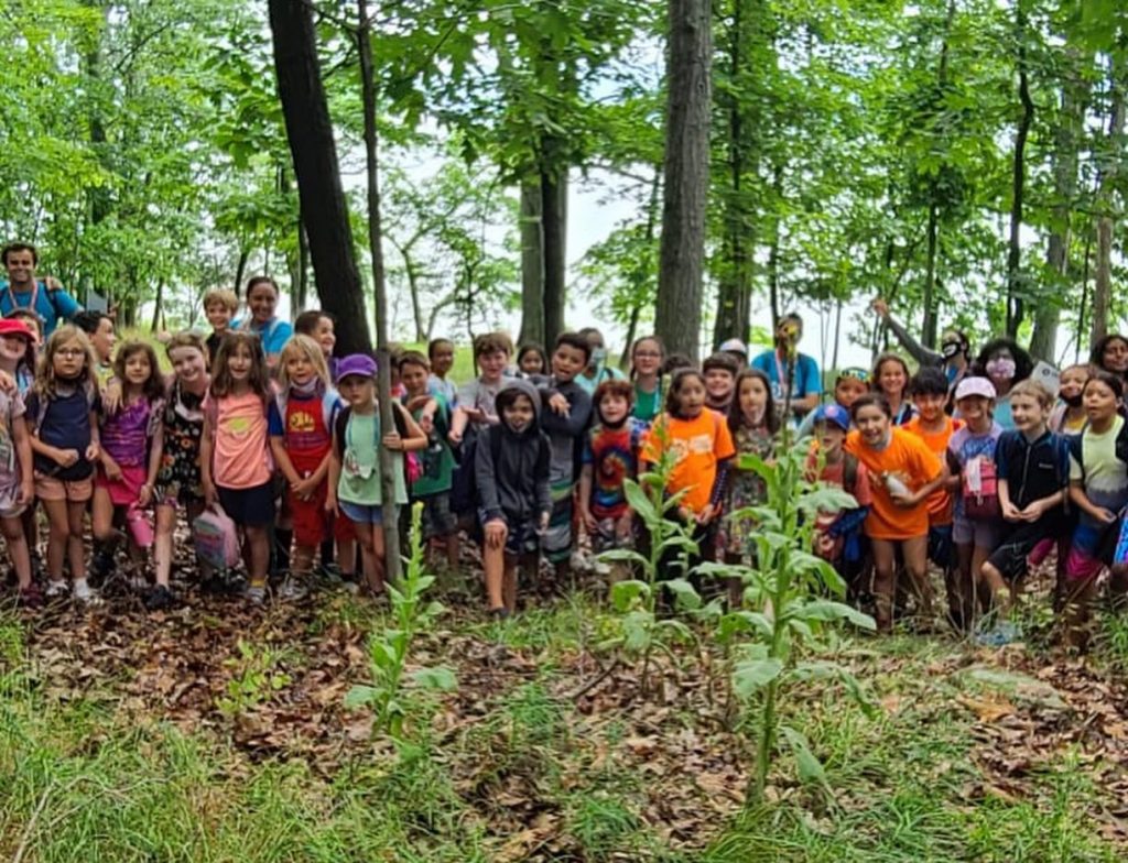 kids hiking in a forest with teachers at YM&ہاں