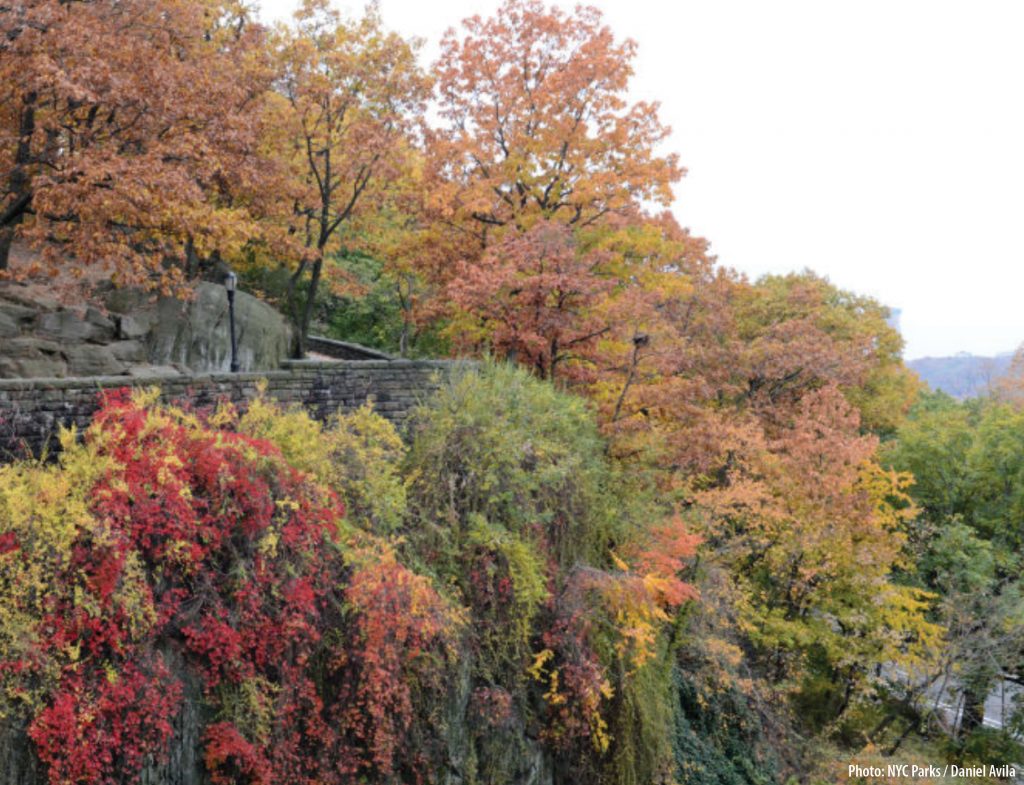 Fort Tryon Park with fall foliage.