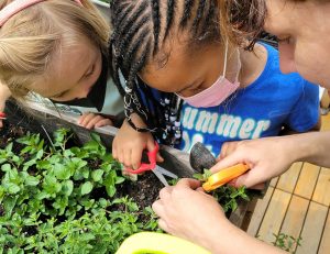 Enhancing Lives Every Day - Garden at YM&JA